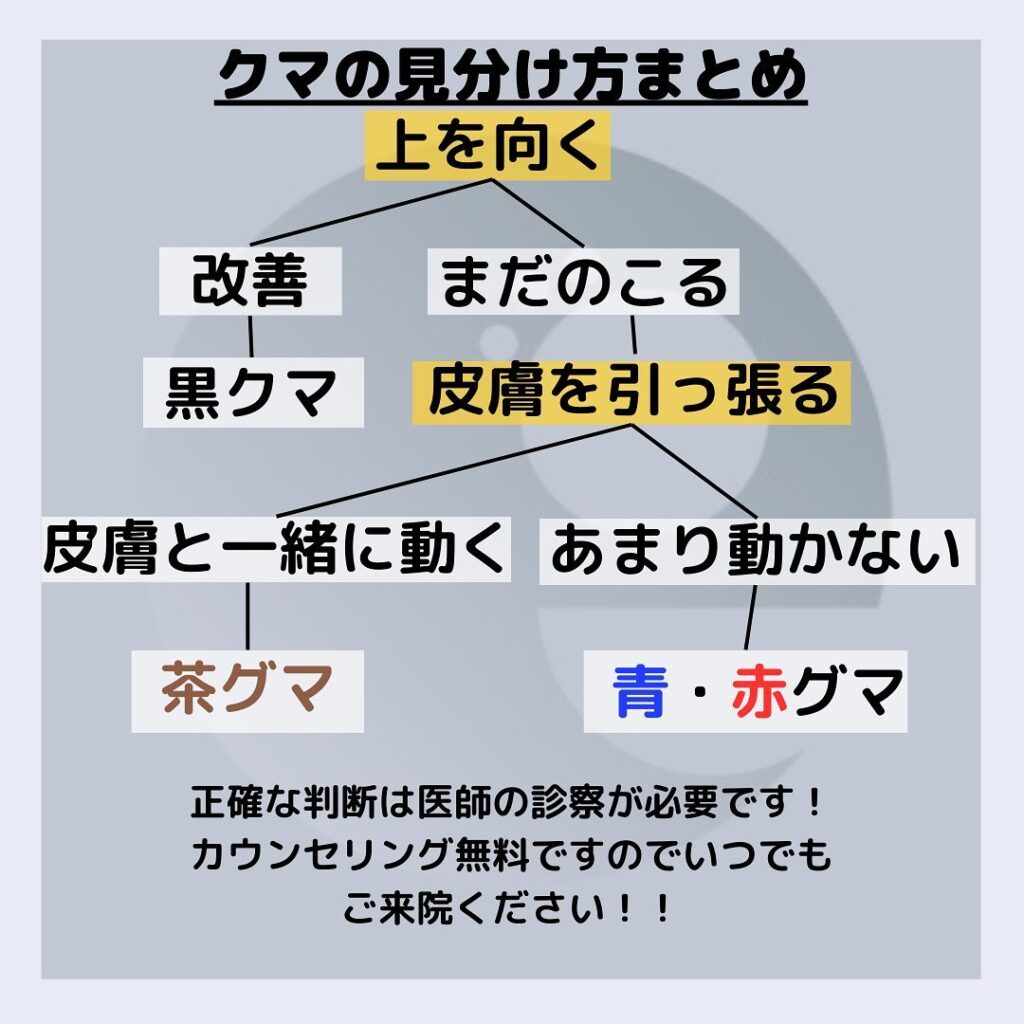 クマの見分け方の図解