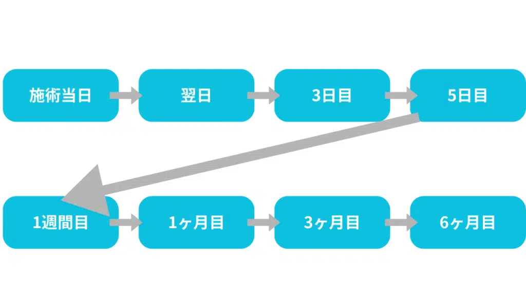 スケジュール