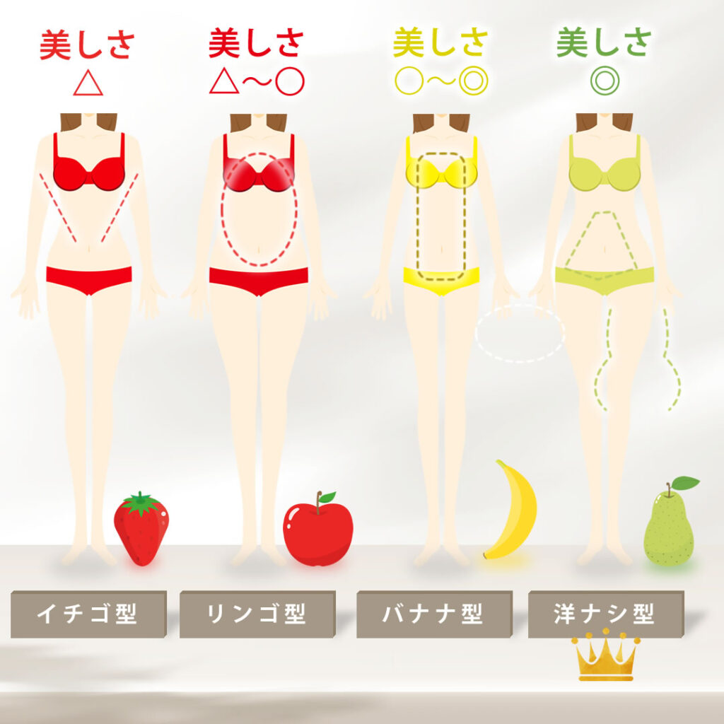 正面から見た時の鼻の形の分類