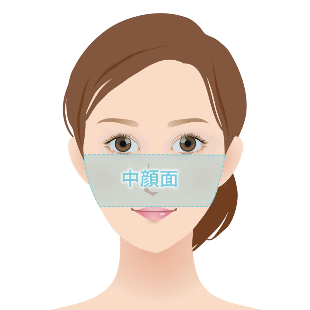 中顔面の図解 (1)