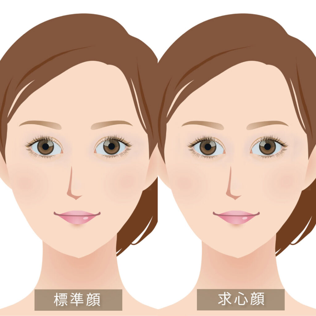 標準顔と求心顔の比較